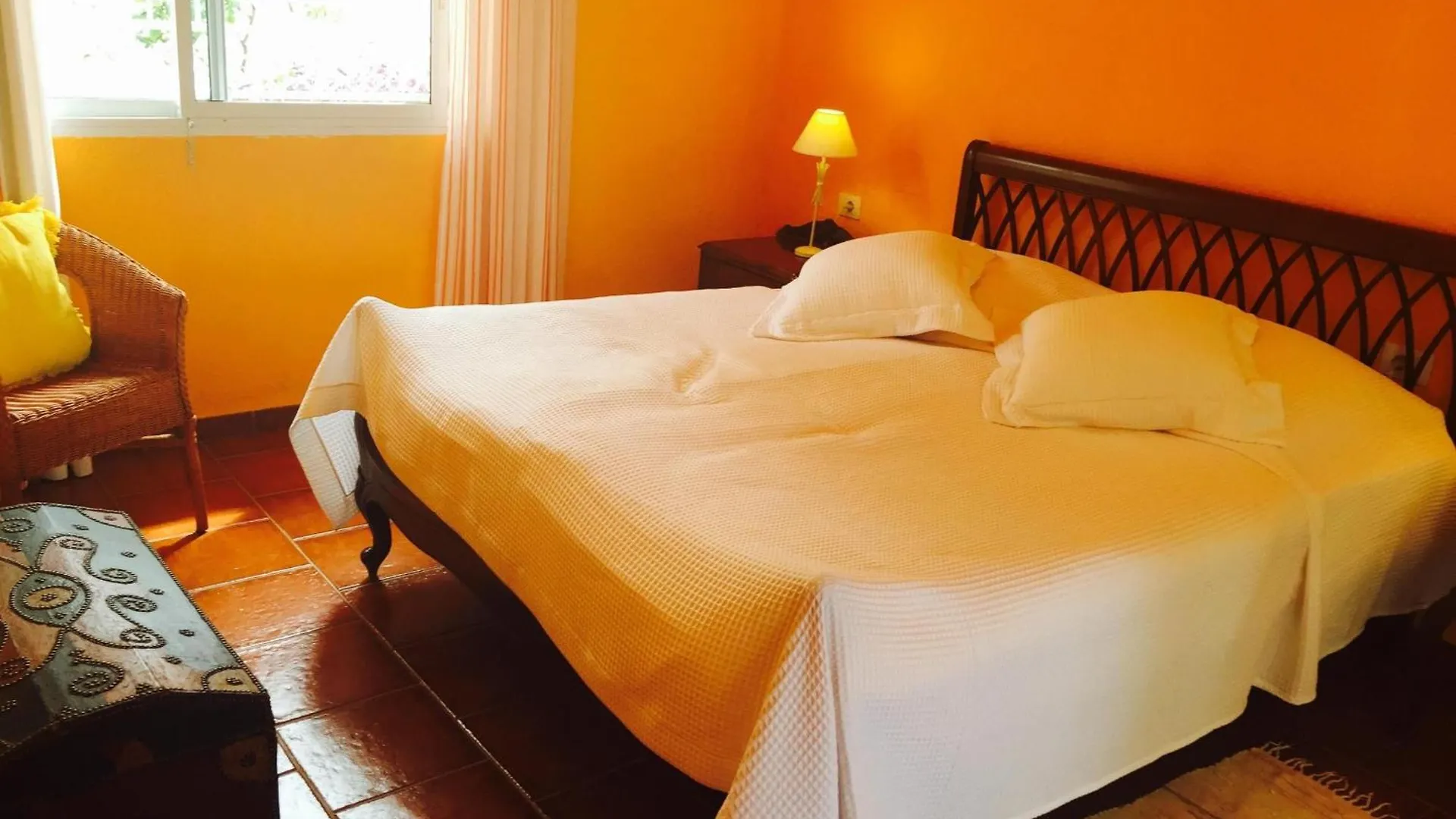 Schoene Wohnung Mit Garten In Puerto De La Cruz